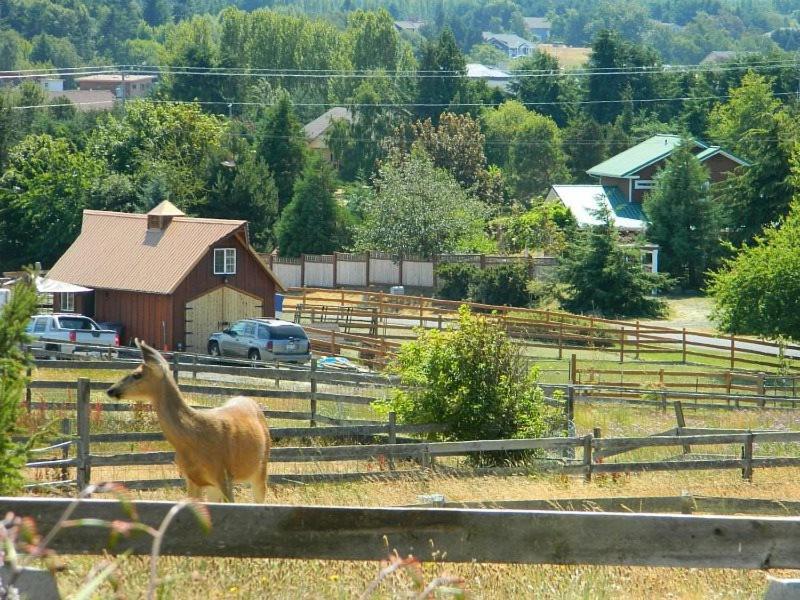 Sq Olympic-View-Cottage Скуим Екстериор снимка